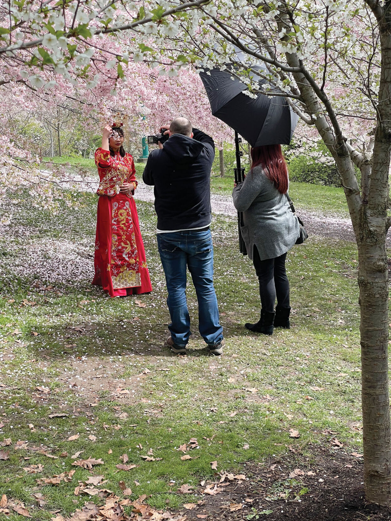 A photoshoot among the cherry blossoms